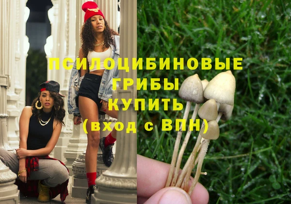 экстази Арсеньев