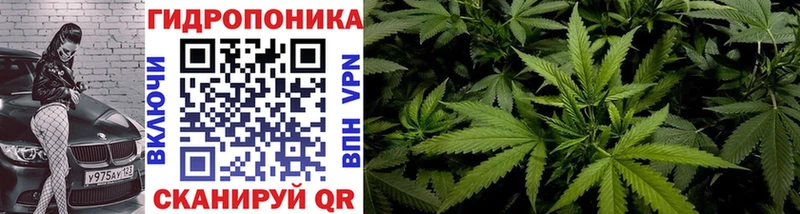 Бошки Шишки сатива что такое Берёзовский